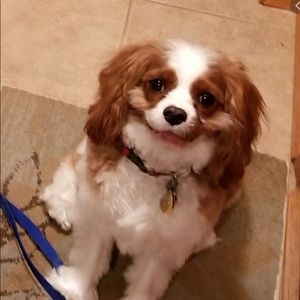 Meet your Posher, Kyle